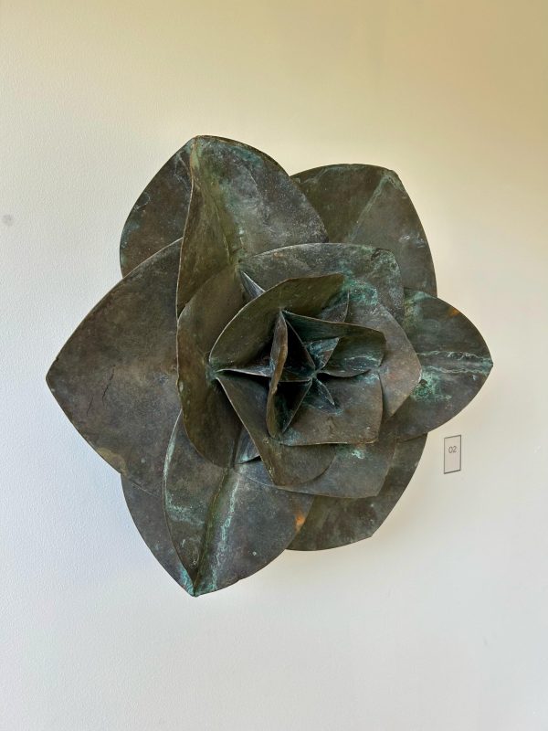 Phi Lotus